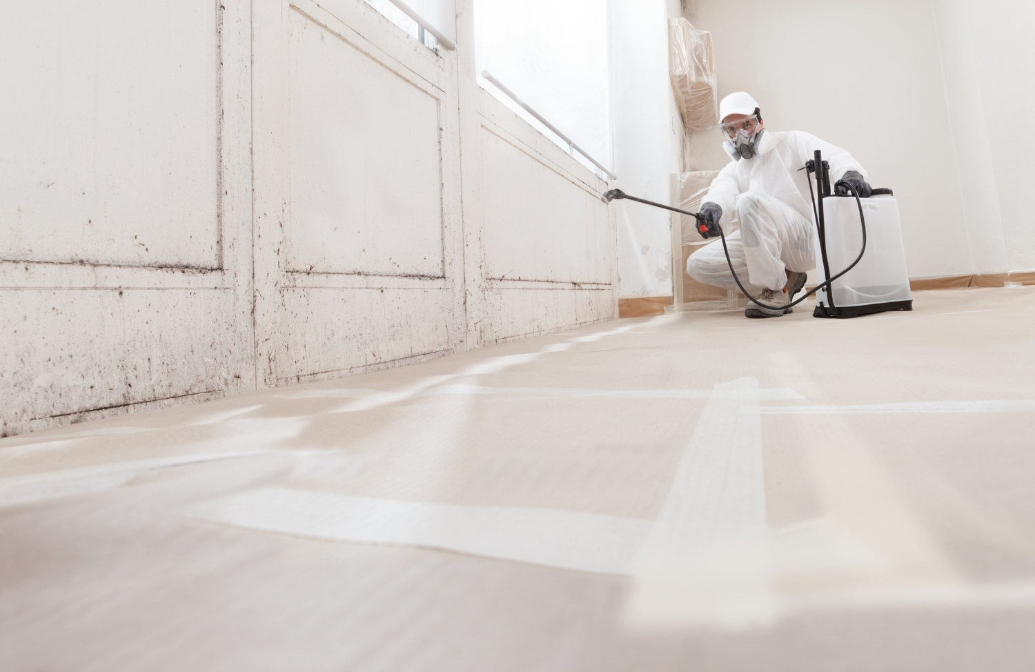 What Counts as a Disaster? Everyday Property Issues That Need Restoration