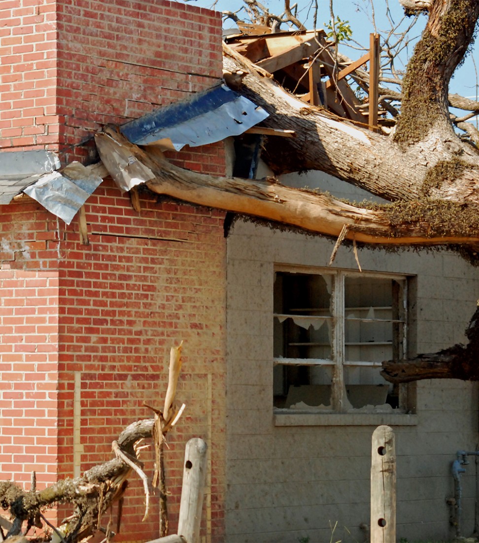 Photo of a tree fallen on the roof house